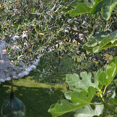 Giardinotto Casa Vacanze Altino  외부 사진
